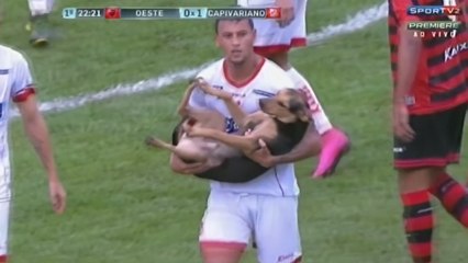 Il sort avec tendresse un chien rentré sur le terrain !