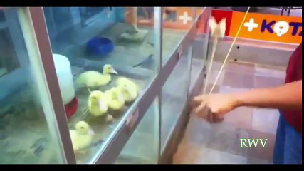 Win Luck Compilation of 2011 Part 1