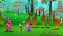 Finger Family Giraffe   ChuChu TV Animal Finger Family Nursery Rhymes Songs For Children