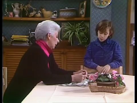 Neighbours ( 1985 ) E136