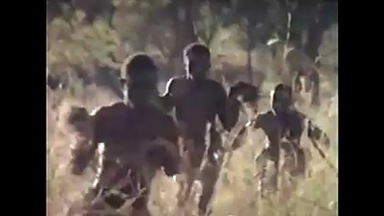 Naughty monkeys