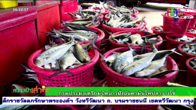 สนามเป้าเล่าข่าว Mon จันทร์ 21 มีนาคม 2559 ตอน 2