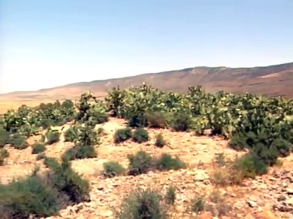 Afrika Korps, une unité délite légendaire Documentaire