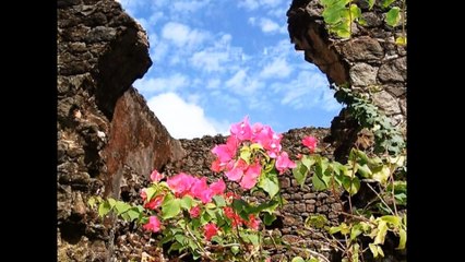 23.   SAINTE-LUCIE  ( Au Carrefour de Ma Vie )