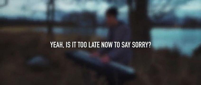 Sorry - INSTRUMENTAL with lyrics (Justin Bieber Sorry Cover by Roomie)