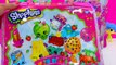Shopkins Season 2 and 3 Carrier Carrying Case Bag + Unboxing 4 Toy Packs Cookieswirlc Vide