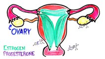 Do Periods Actually Make Women Moody? Ft. iiSuperwomanii