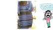 What Colour Is This Dress? (SOLVED with SCIENCE)