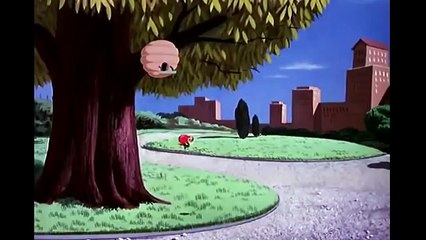 Donald Duck, Pluto, Chip And Dale || Special Complete PLaylist