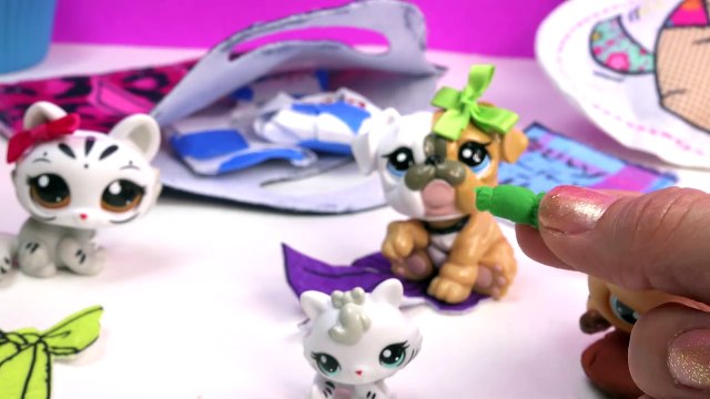 LPS Mystery Surprise Handmade Blind Bags Toys Fan Mail Littlest Pet Shop Unbo