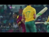 West indies Funny Celebrations agains South Africa