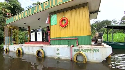 Câmera Record - As cobras e os perigos da Amazônia (Completo) 05/04/2013 HD