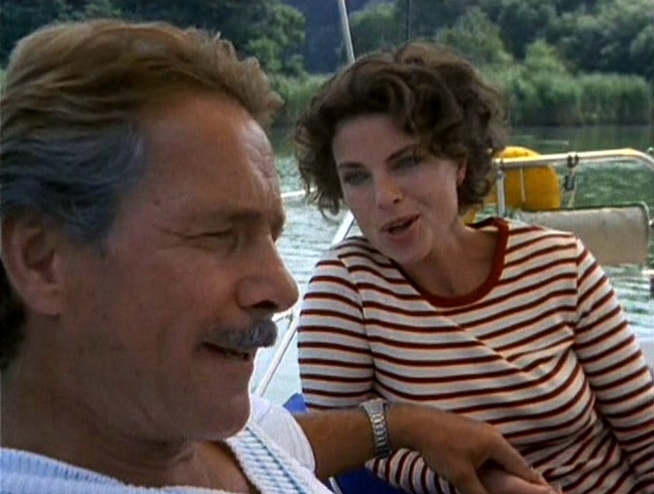 Das Schwein - Eine deutsche Karriere III  1995