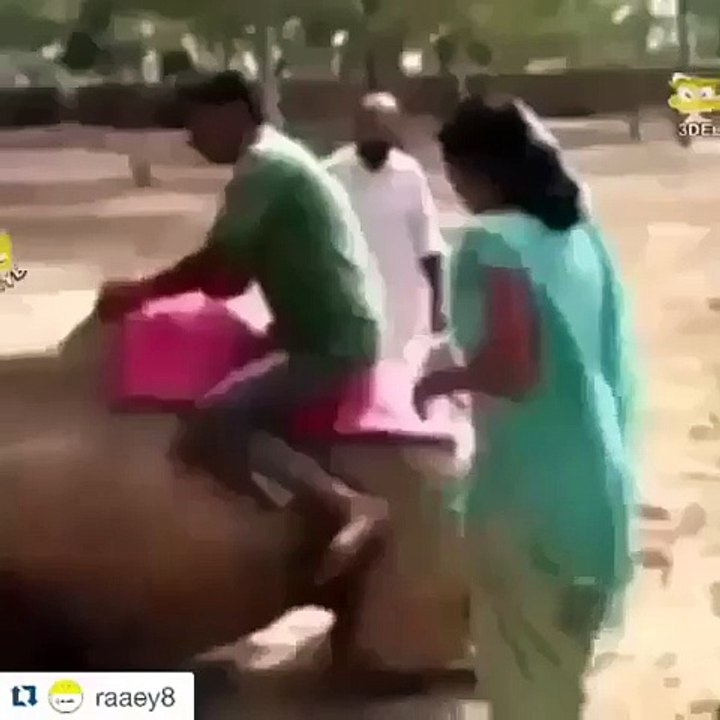 Sitting goes wrong