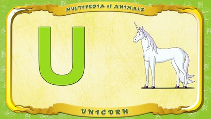Multipedia of Animals Letter U Unicorn
