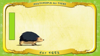 Multipedia der Tiere. Buchstabe I der Igel