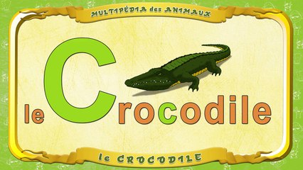 Multipédia des animaux. La lettre C le Crocodile