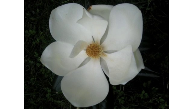 Diaporama de Pâques