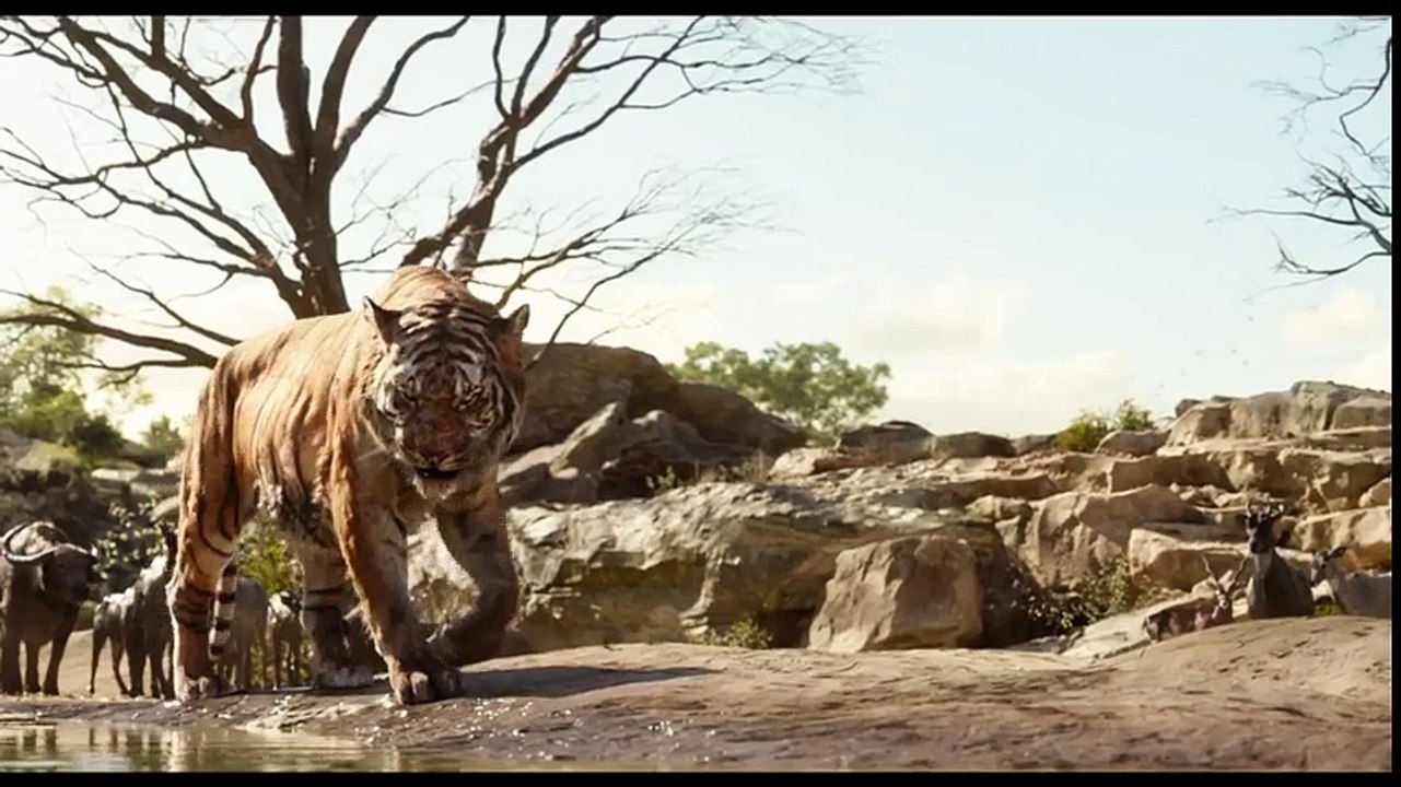 The Jungle clip 1