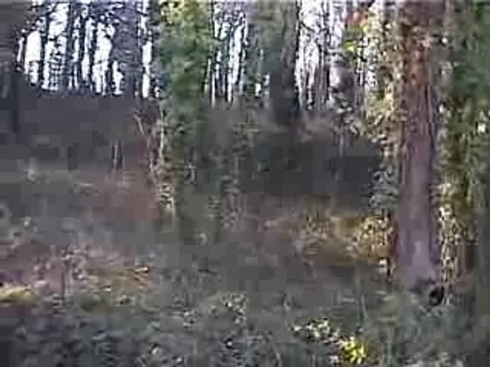 PlouhaLanloup 2001