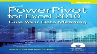 Download Microsoft PowerPivot for Excel 2010  Give Your Data Meaning  Business Skills