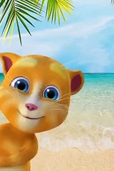 hahaha talking tom hindi funny clip about whatsapp -