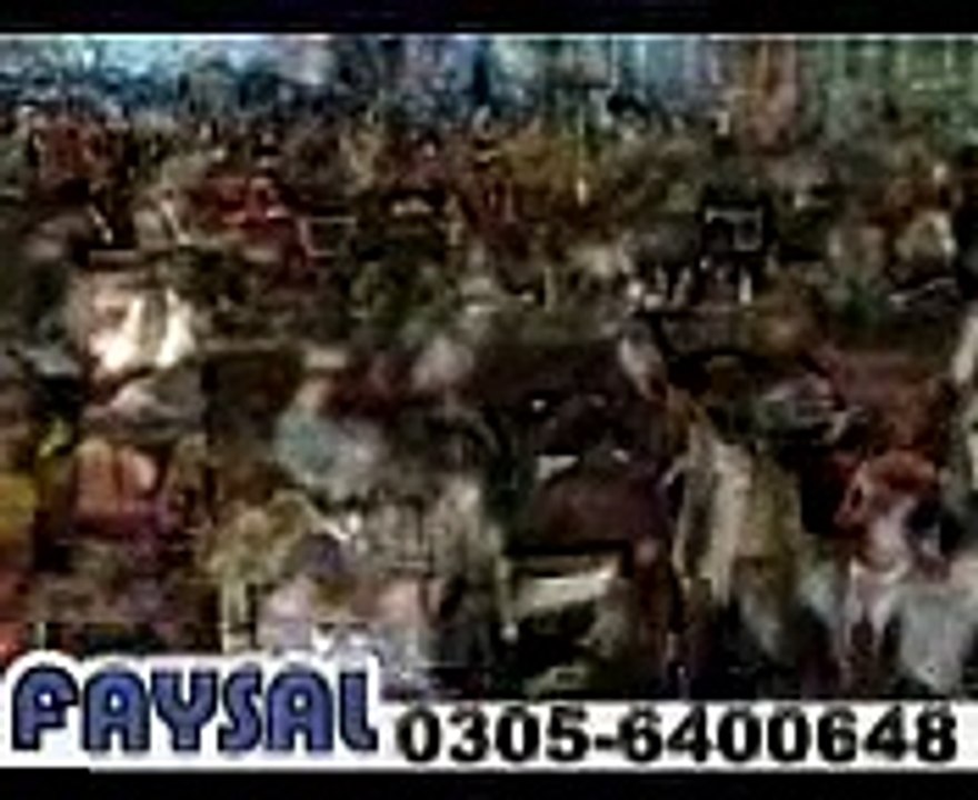 very beautiful and funny videos