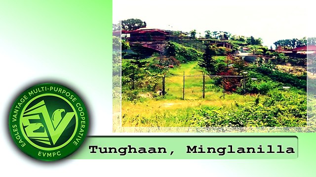 Eagles Vantage - Minglanilla Property