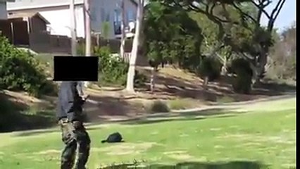 what is inside the bag