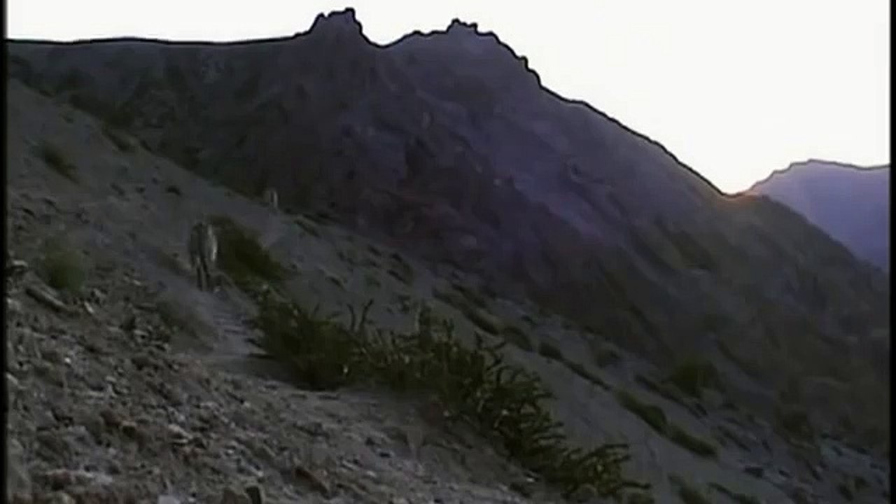 Hunting For The SNOW LEOPARD 39