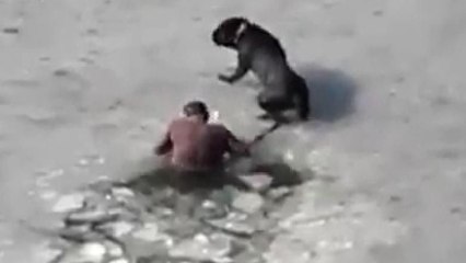 İnsanlık ölmemiş dedirten görüntüler