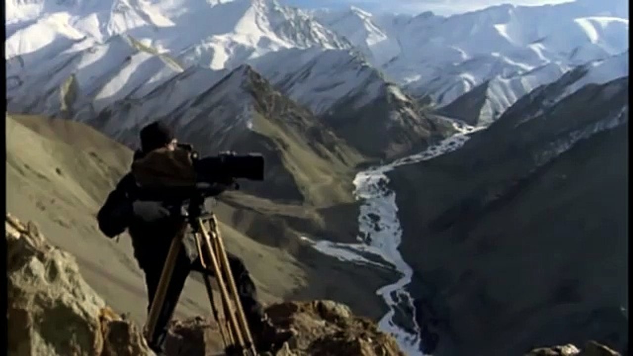 Hunting For The SNOW LEOPARD 103