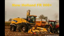 New Holland FR 9080 mais hakselen 2014 - Vandenbulcke uit Bellegem