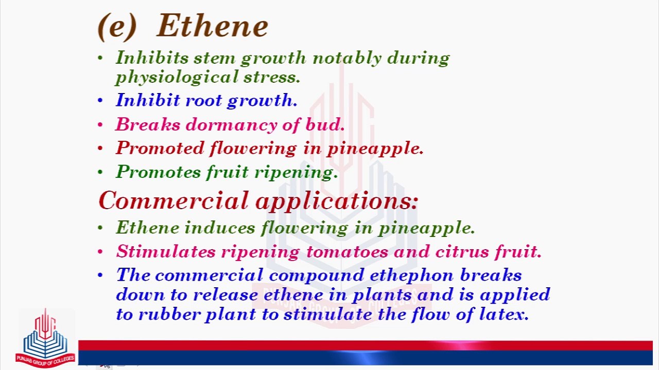 Functions & Commercial applications of Ethene