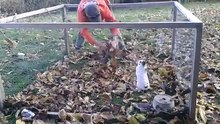 How to entertain a rabbit