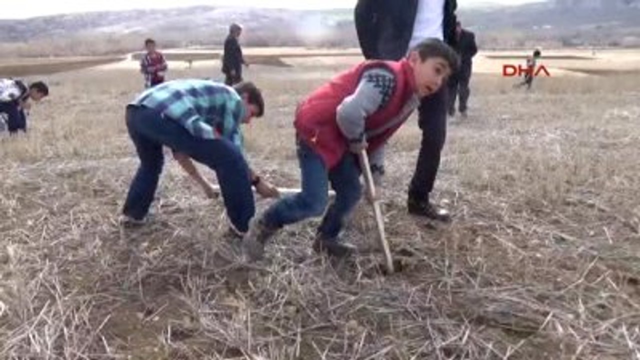 Sorgun?da Çiğdem Şenliği