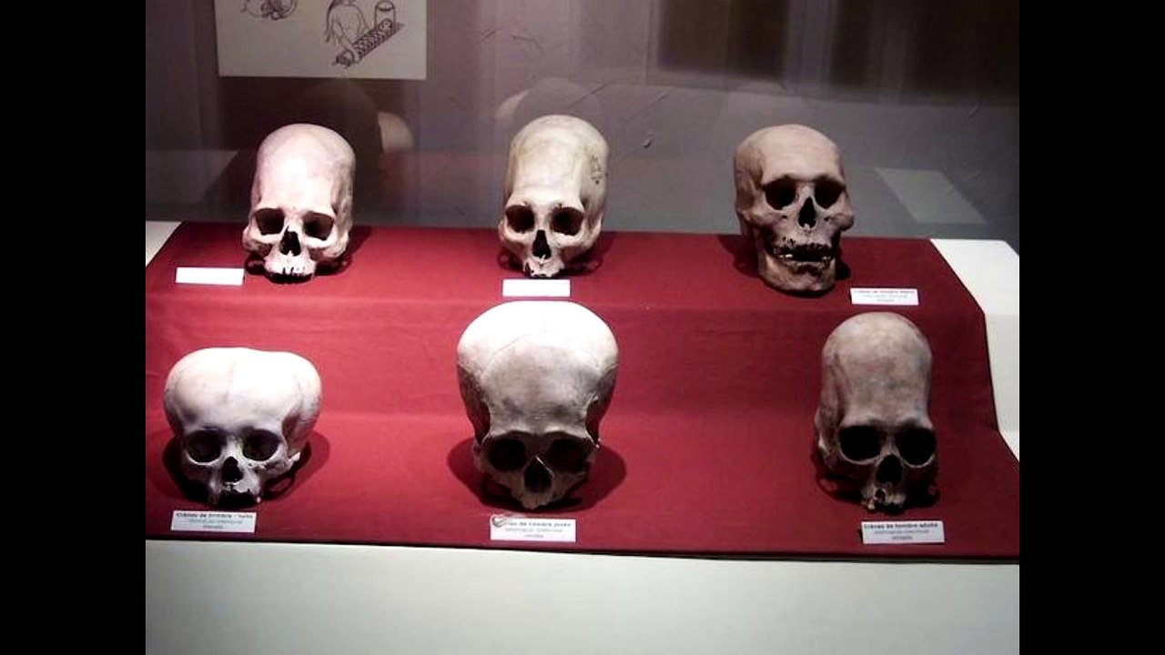 Calm down, the Paracas skulls are not from alien beings