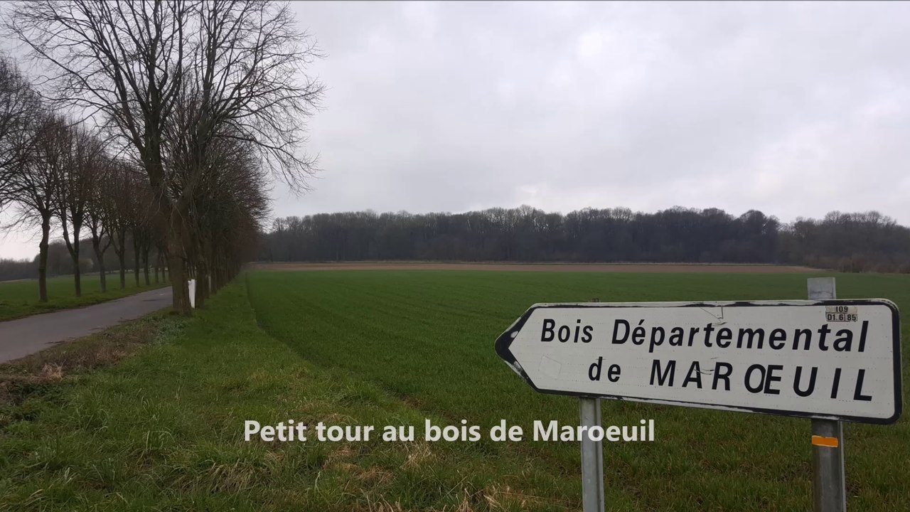 Arrageois: un petit tour au  bois de Maroeuil