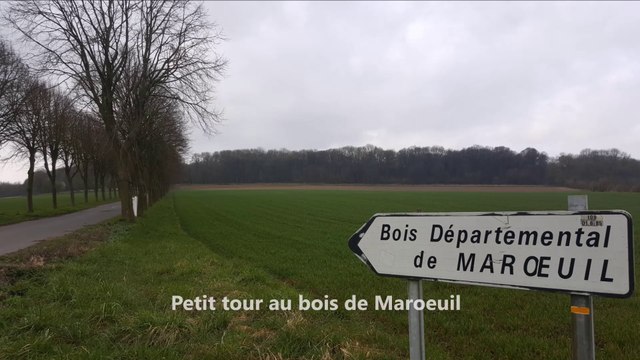 Arrageois: un petit tour au bois de Maroeuil