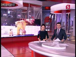 ヤクーチアのホッキョクグマの頭数調査 (Dec.20  2014)