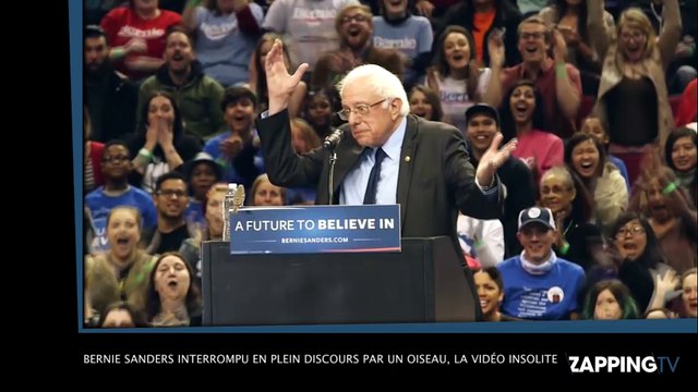 Bernie Sanders interrompu en plein discours par un oiseau, la vidéo insolite !
