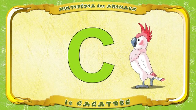 Multipédia des animaux. La lettre C le Cacatoès