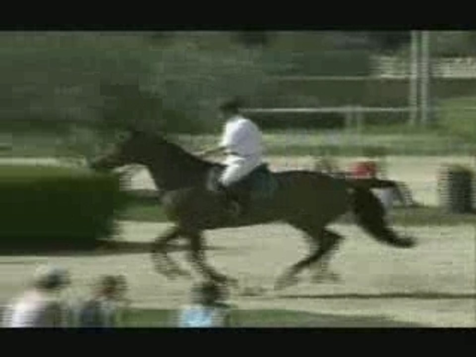 SansTitre_0003
