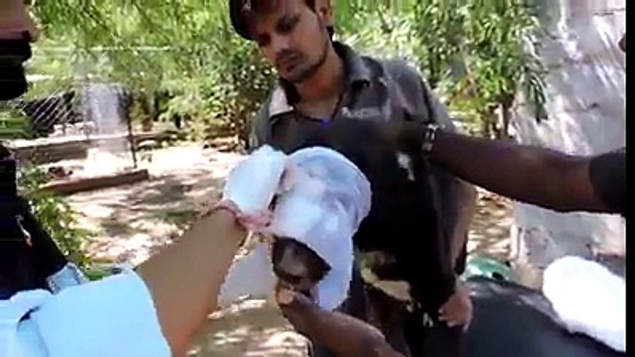 وہ اللہ ہی ہے جو سب سے بہترین پیدا کرنے والا ہے، کبھی آپنے م