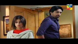 Gul-e-Rana Episode 20 Hum TV 26 March 2016 Full Drama