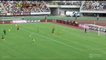 1-1 Sebastian Goal HD - Cameroon 1-1 South Africa - Africa Cup of Nations Qualification 26.03.2016