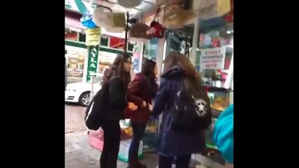 Salih Zafer Kunt Vineları - 2016 Yılına Kadar Tüm Vineları