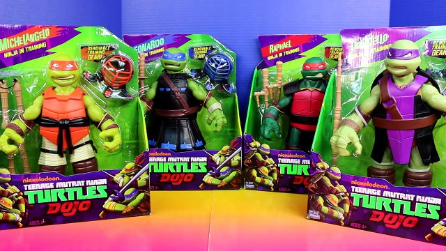 Teenage Mutant Ninja Turtles Dojo TMNT with Training Gear Nickelodeon Master Splinter