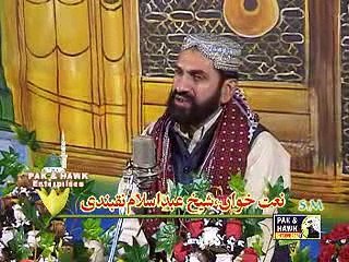 Aap Sa Donon Jahan Main Naza rAya Hi Nahi.By.Shaikh.Islam.Naqashbandi-1