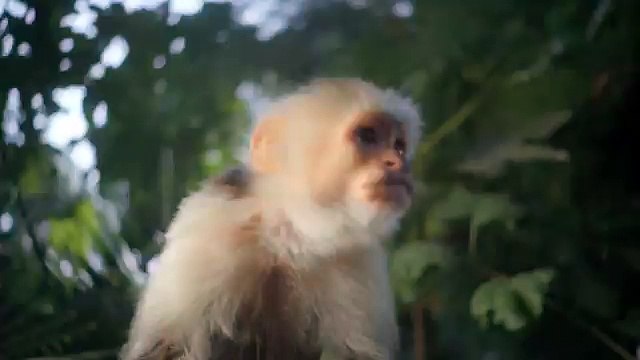 Katy Perry - Roar: Queen of the Jungle (Music Video Preview)
